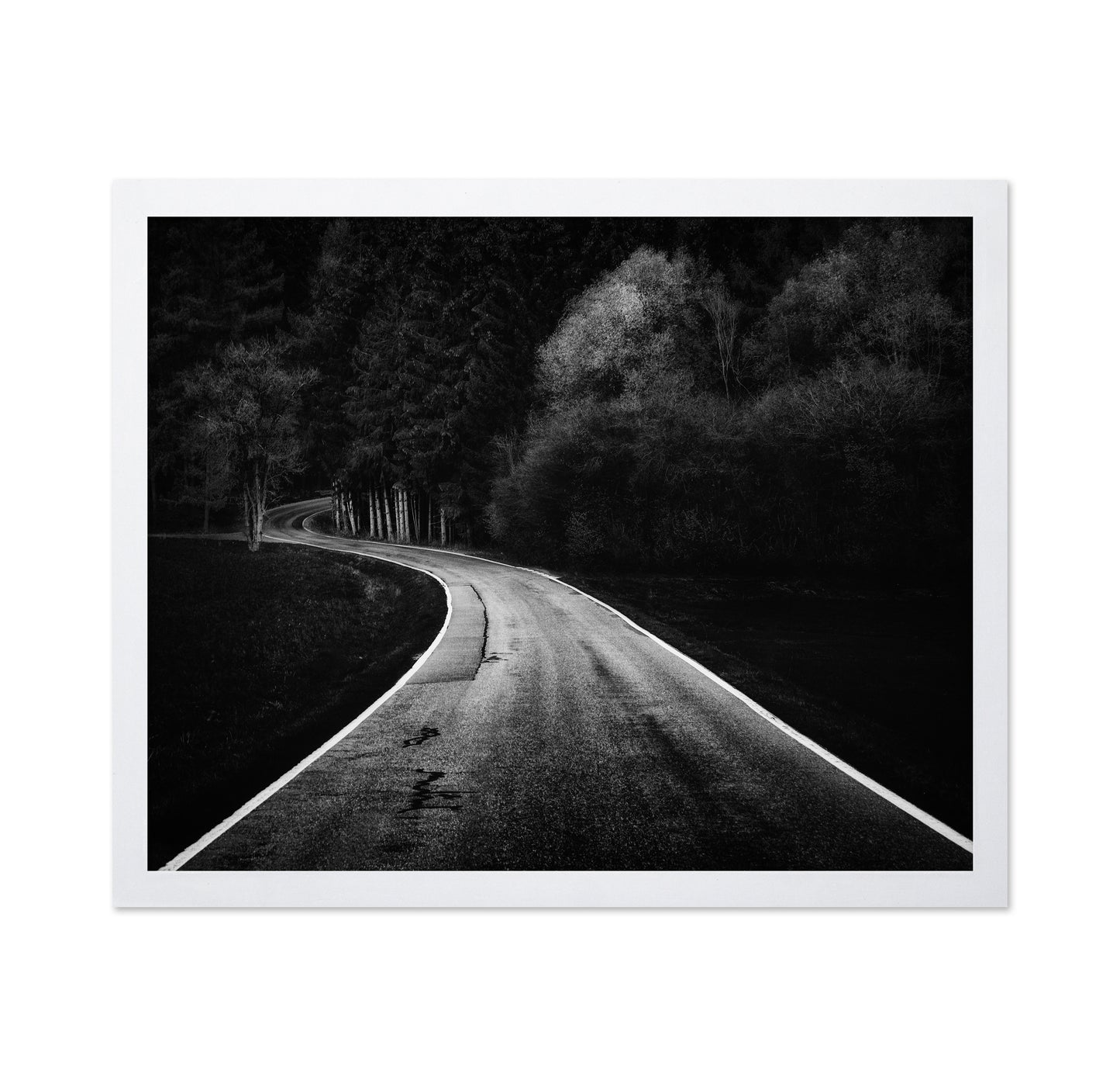 Bavarian Paths
