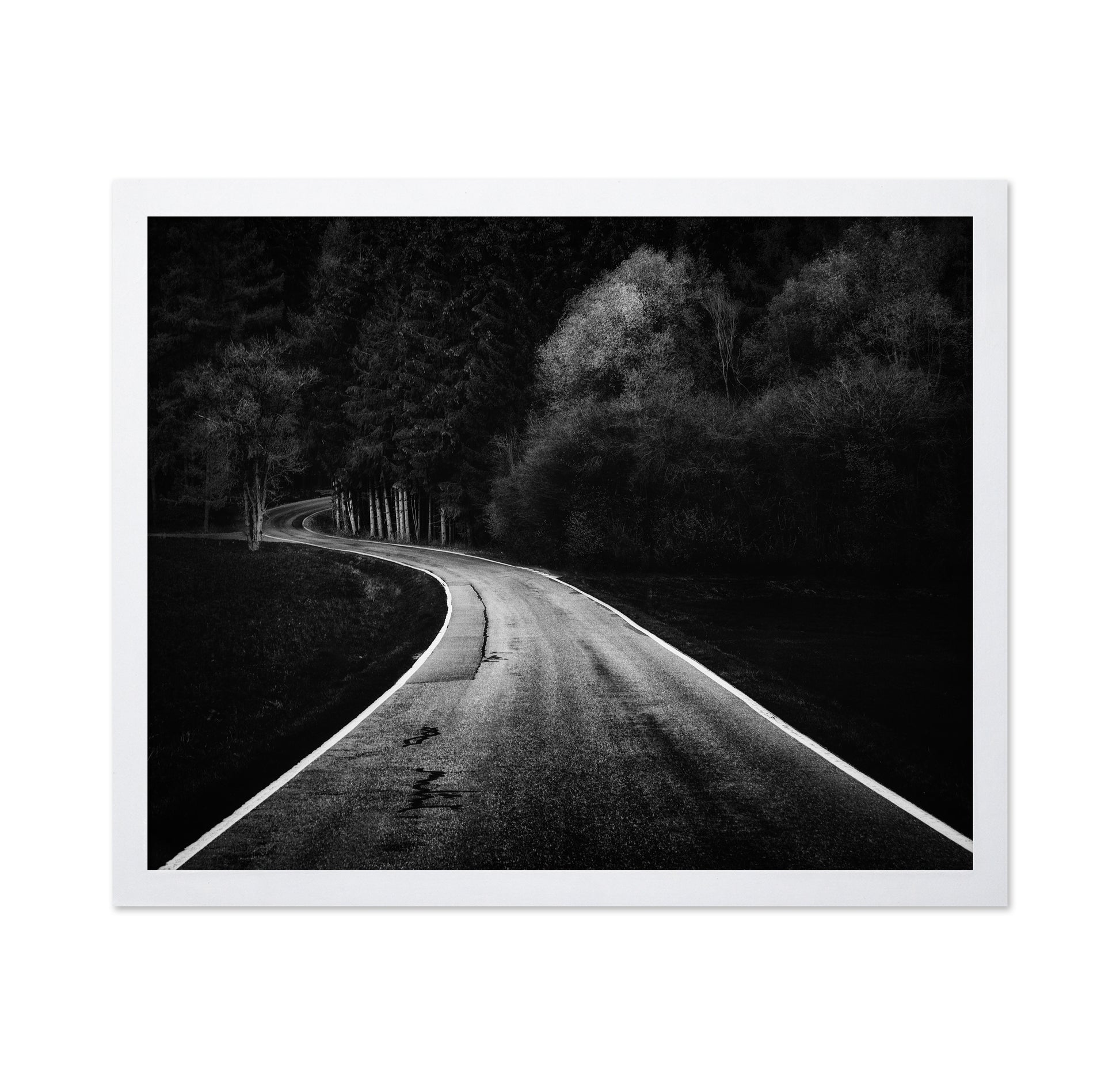 Bavarian Paths