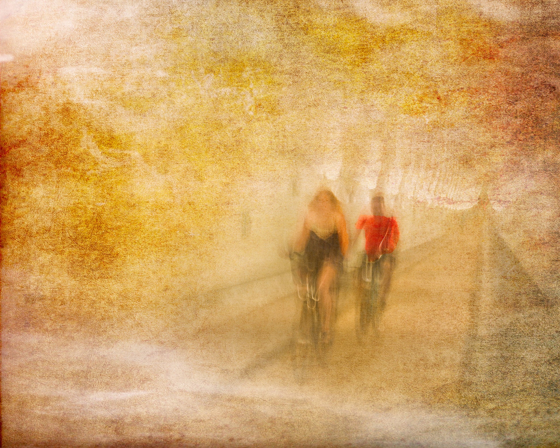 Bicycle Tour