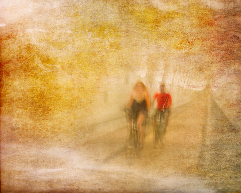 Bicycle Tour