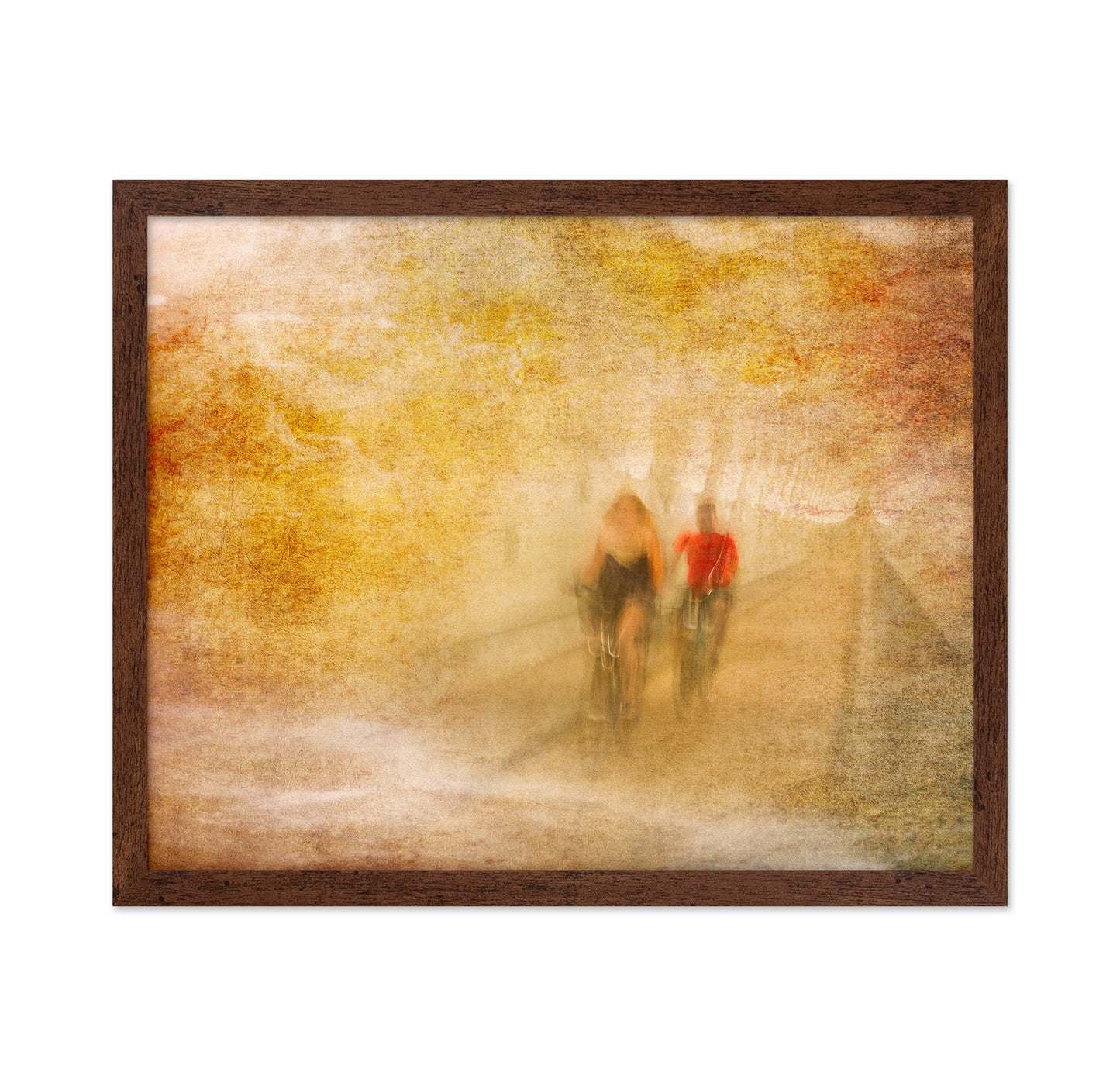 Bicycle Tour