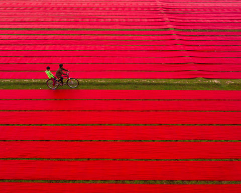 Bicycle on Red Cloths