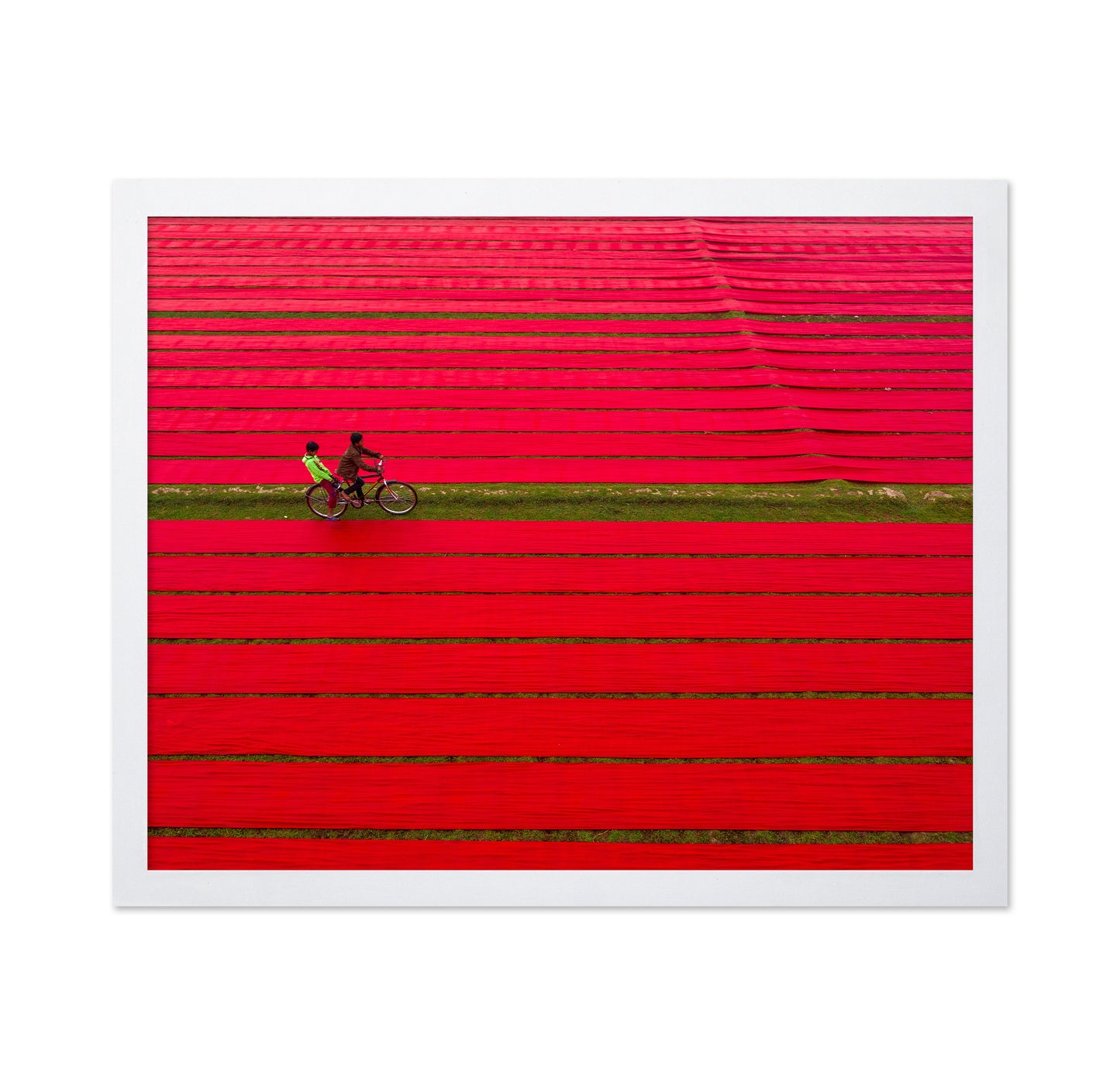 Bicycle on Red Cloths