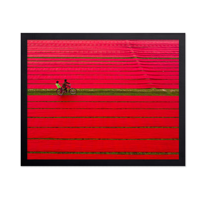 Bicycle on Red Cloths