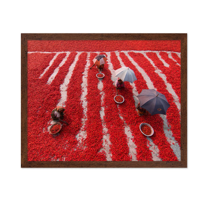 Red Chilies Pickers