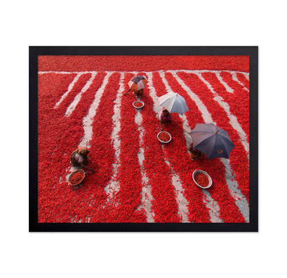 Red Chilies Pickers