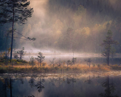 Misty Moment