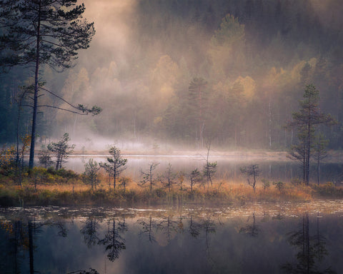 Misty Moment