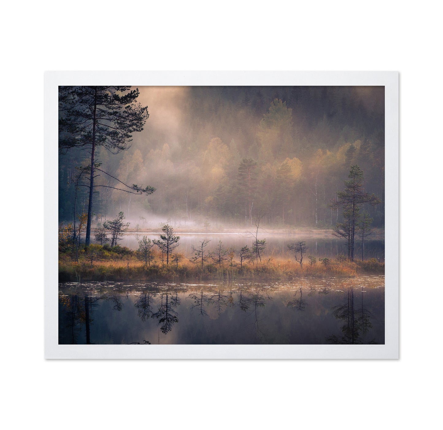 Misty Moment