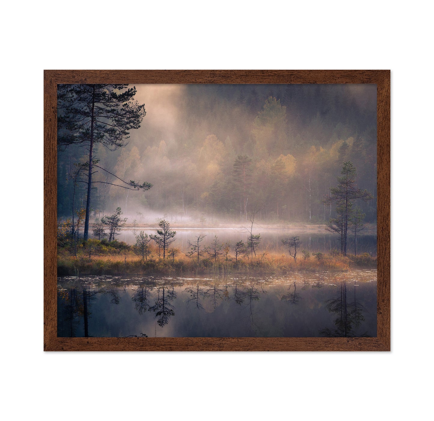 Misty Moment