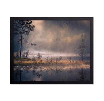 Misty Moment