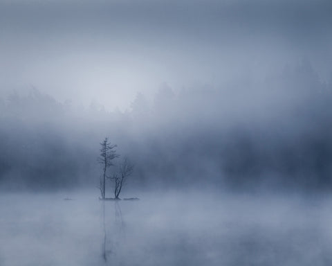 The Tiny Island