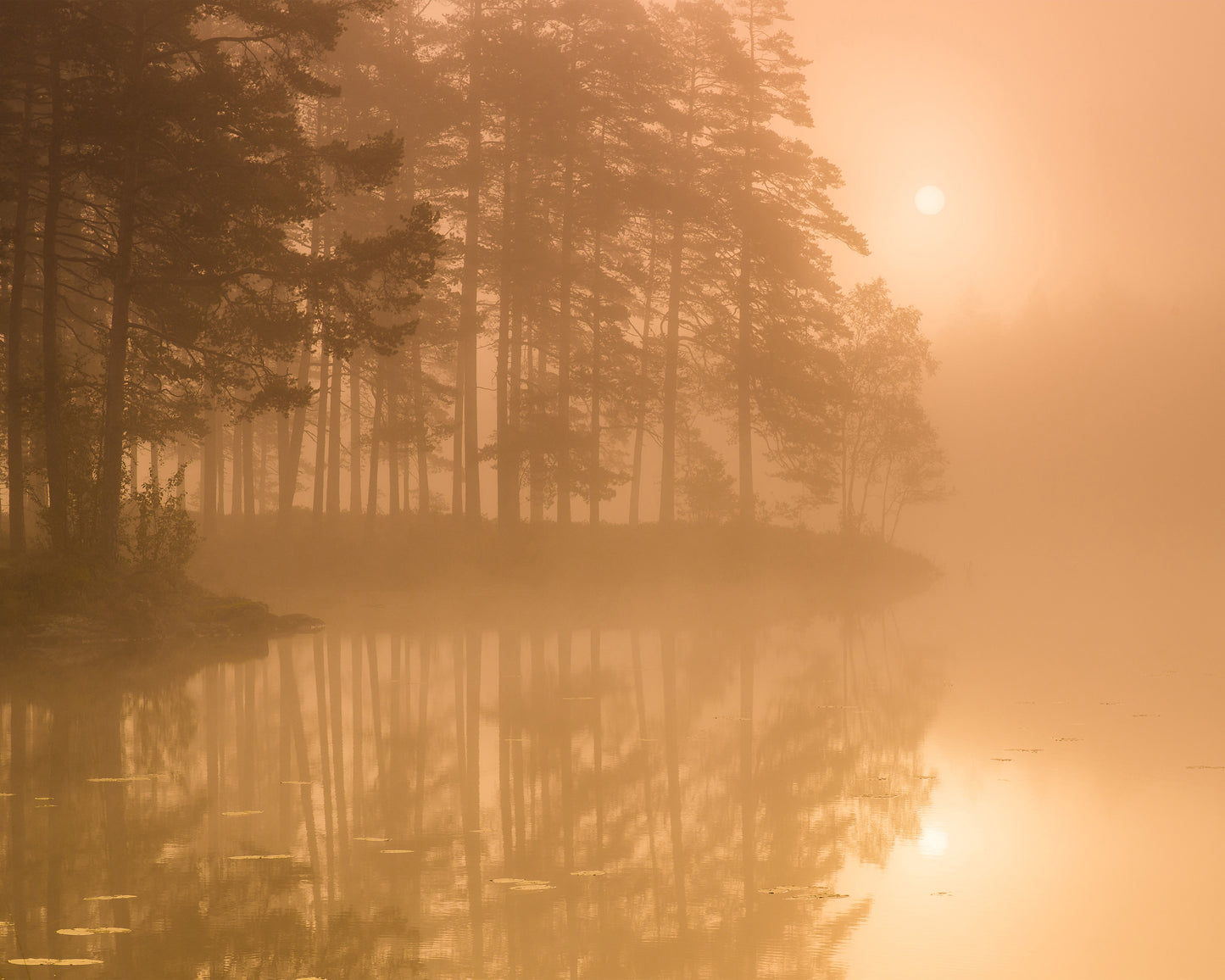 Sun & Mist