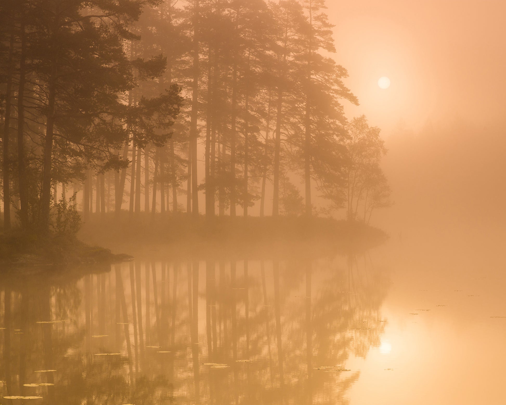 Sun & Mist