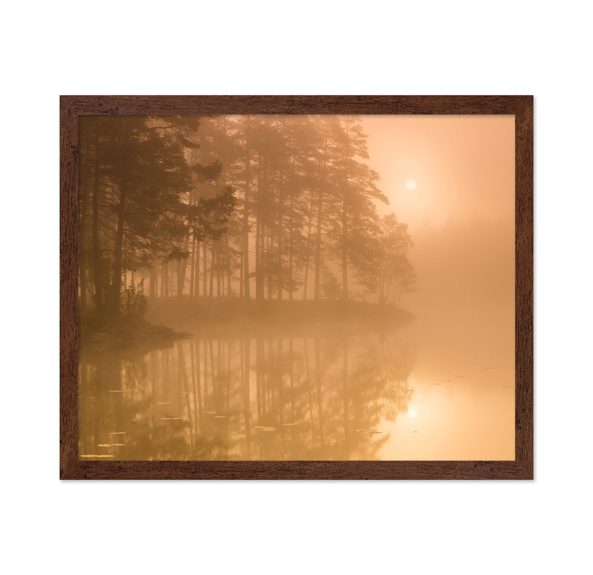 Sun & Mist