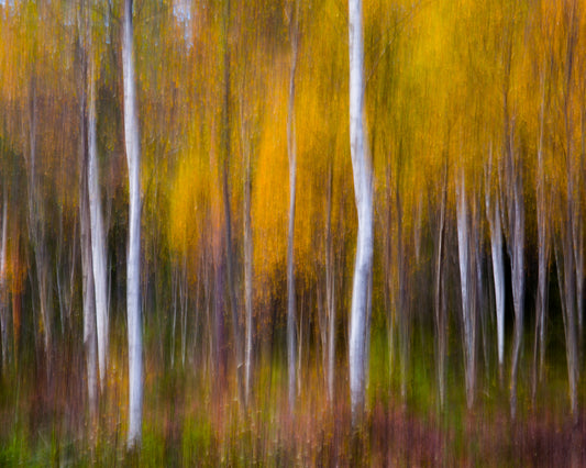 Abstract Fall