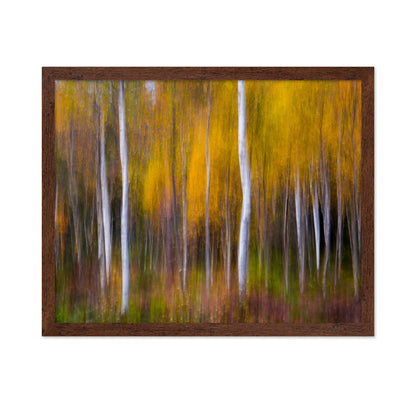 Abstract Fall