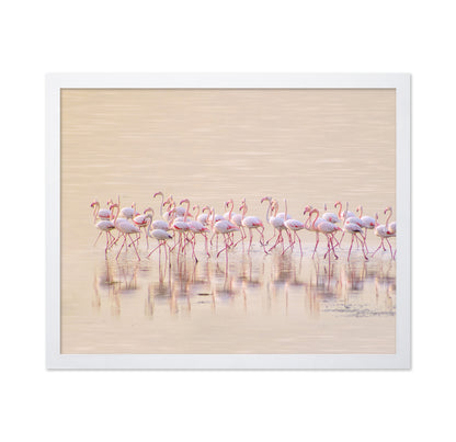 Marching Pinks