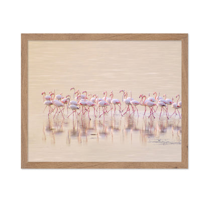 Marching Pinks