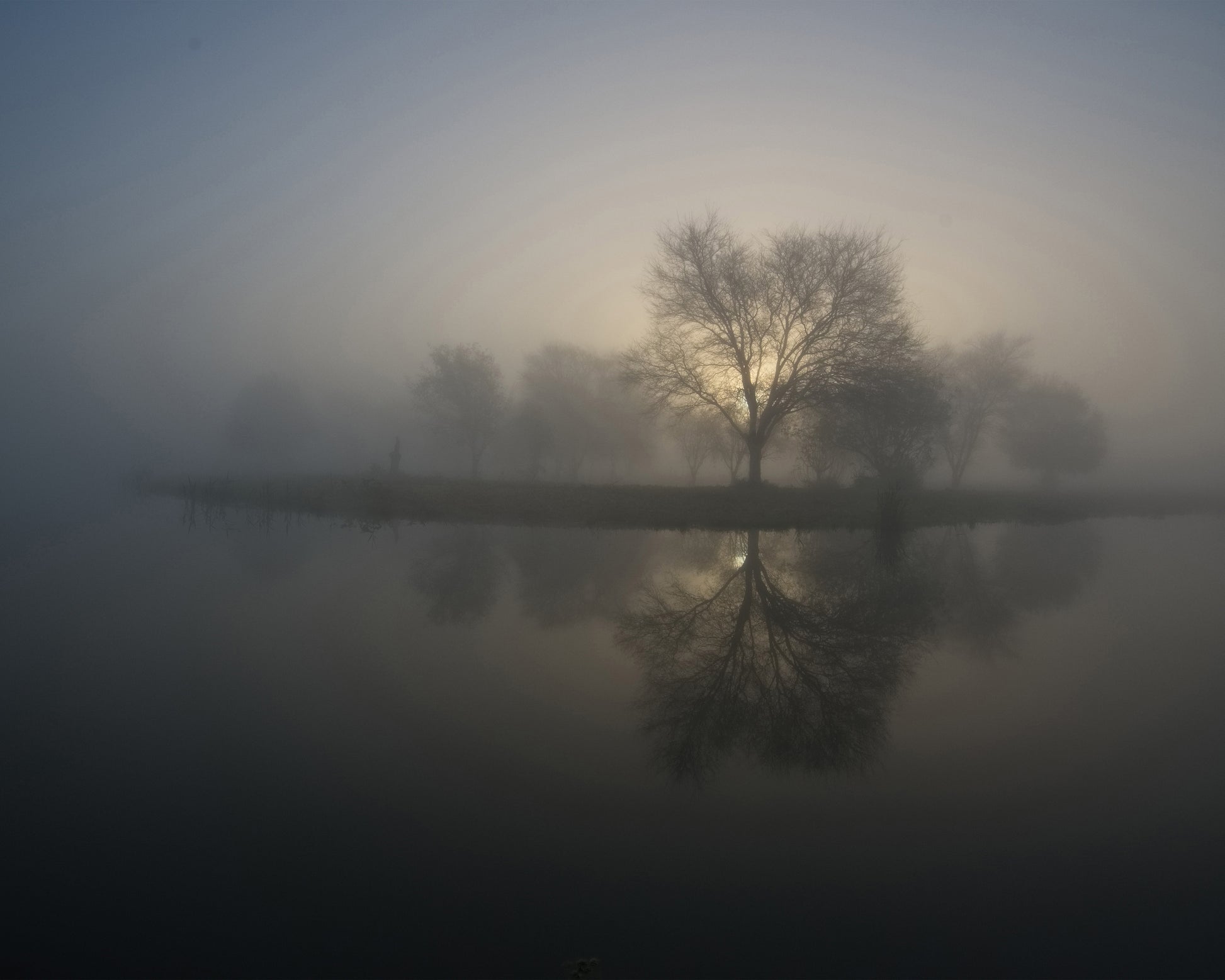 Soft Sunrise