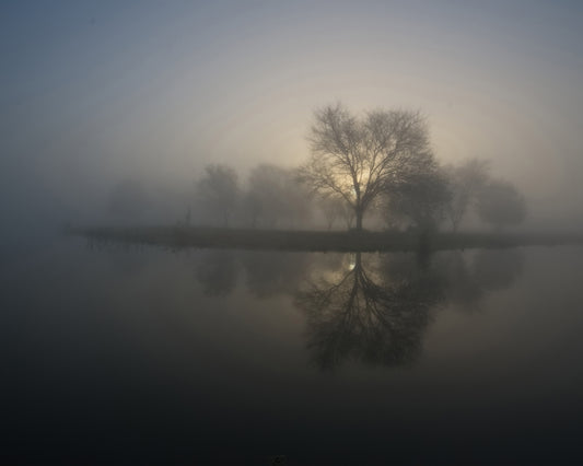 Soft Sunrise