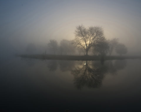 Soft Sunrise