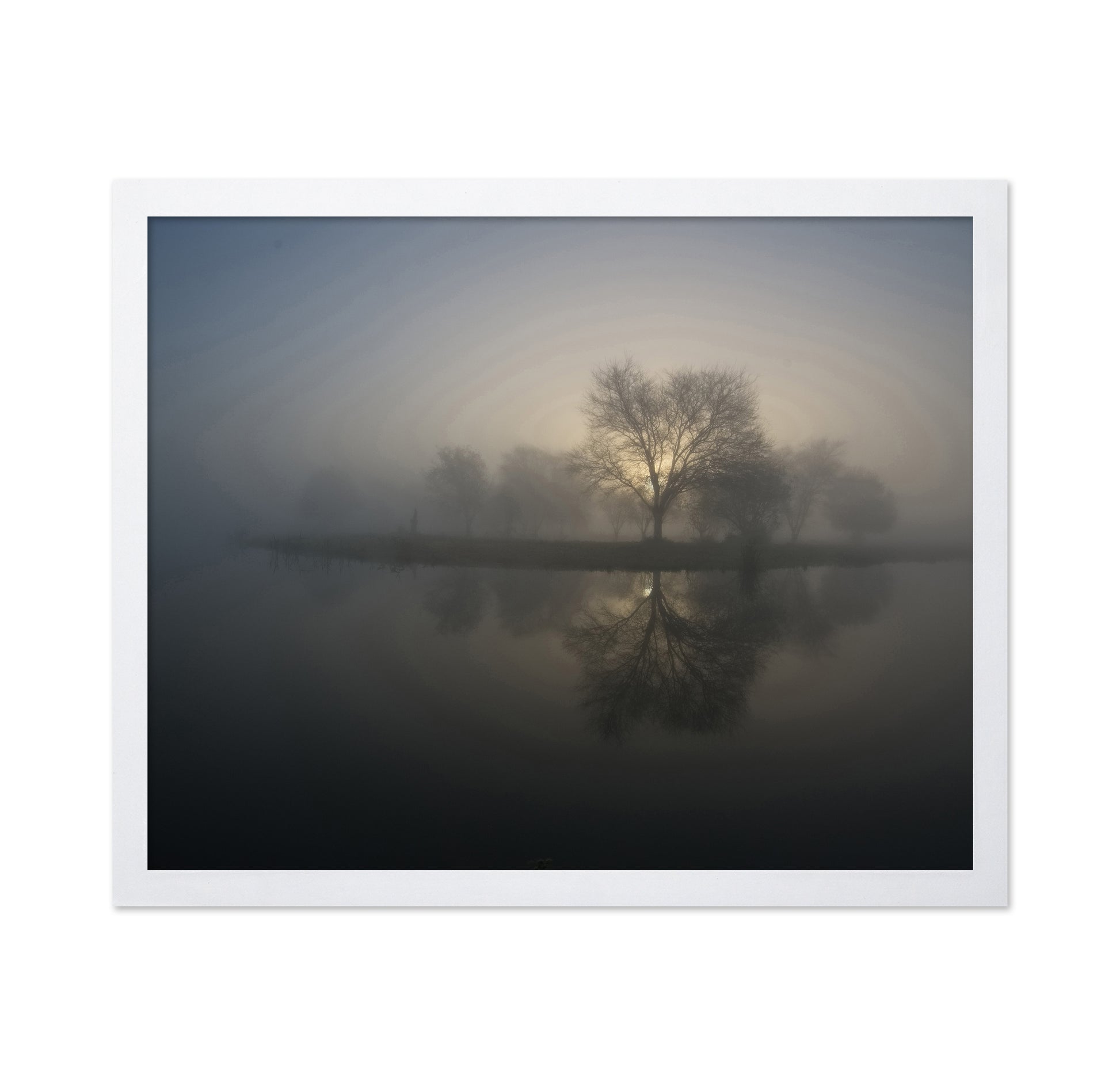 Soft Sunrise