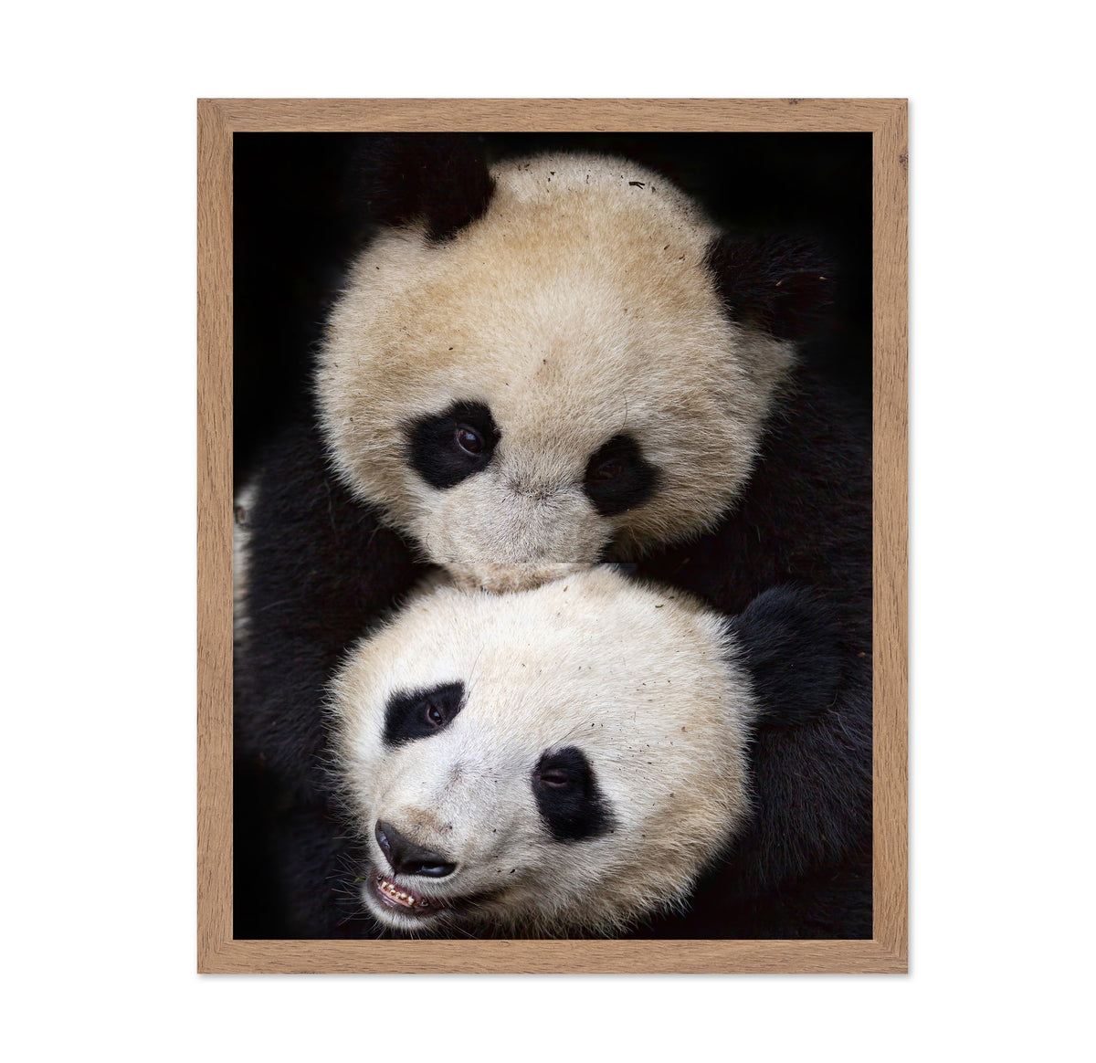Panda Hug