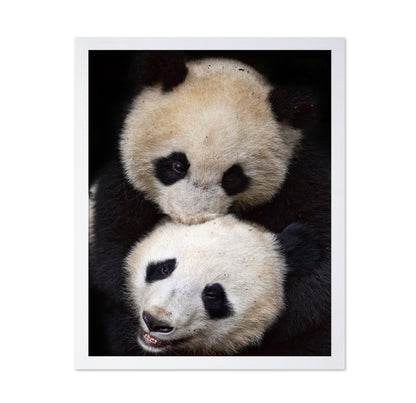Panda Hug