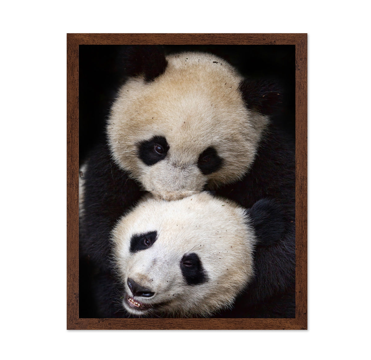 Panda Hug