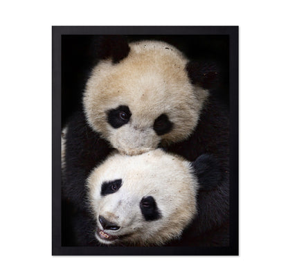 Panda Hug
