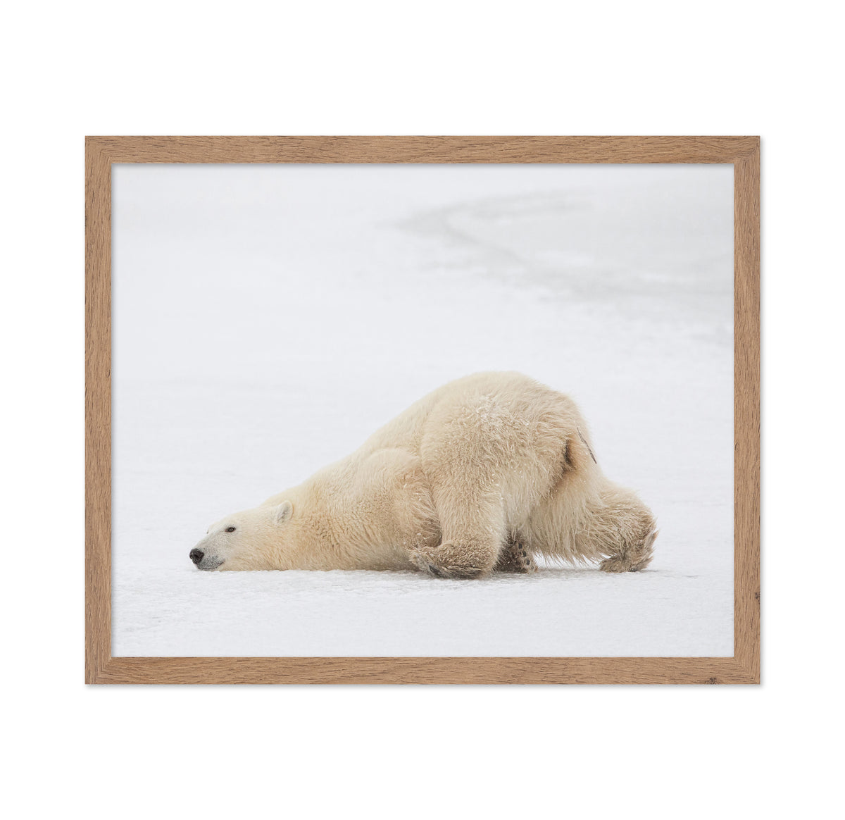 Sliding Bear