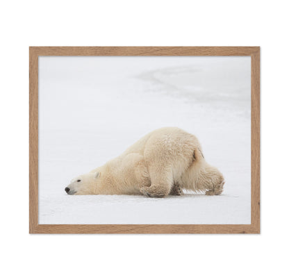 Sliding Bear