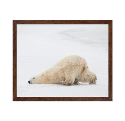 Sliding Bear
