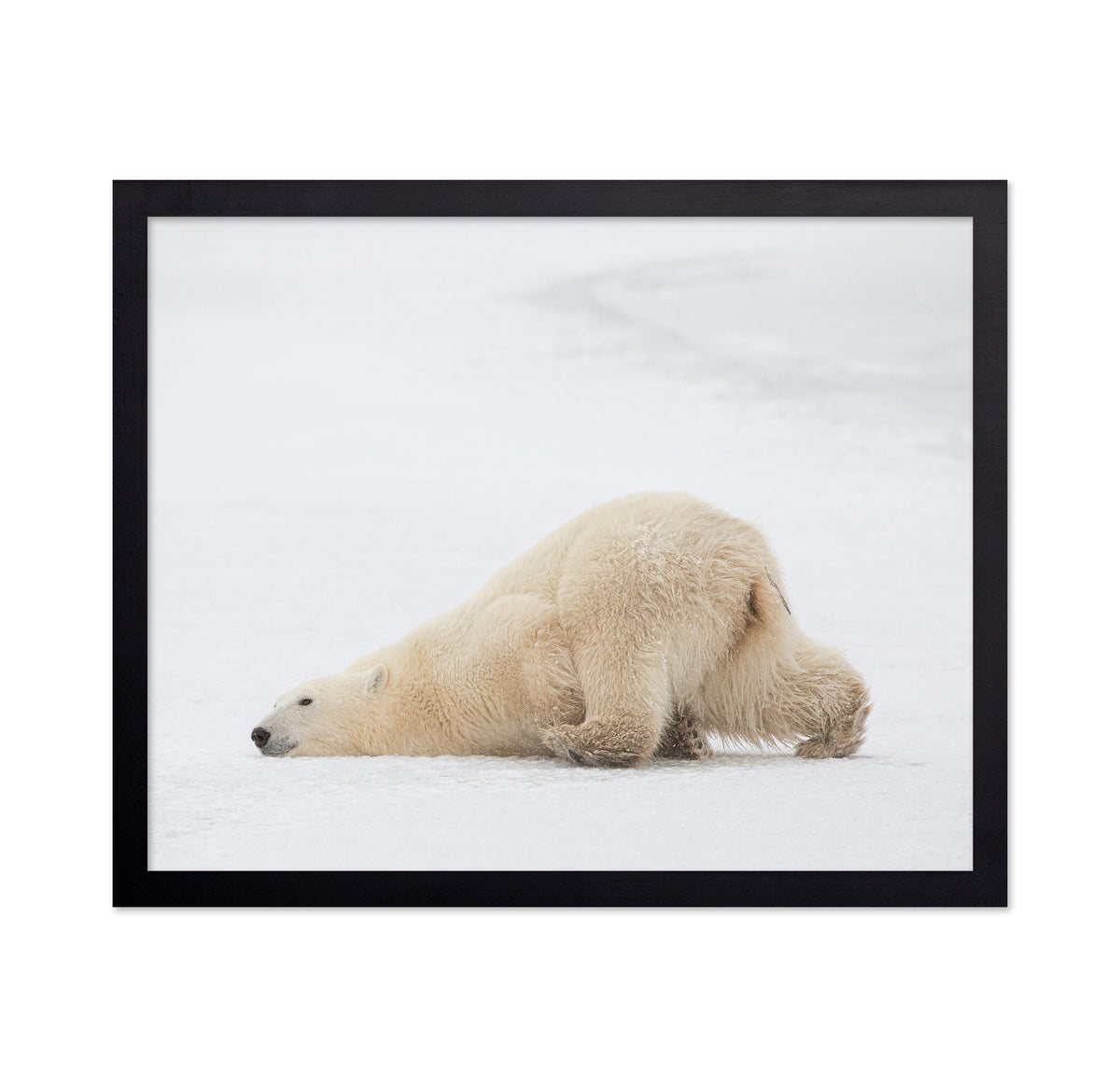 Sliding Bear