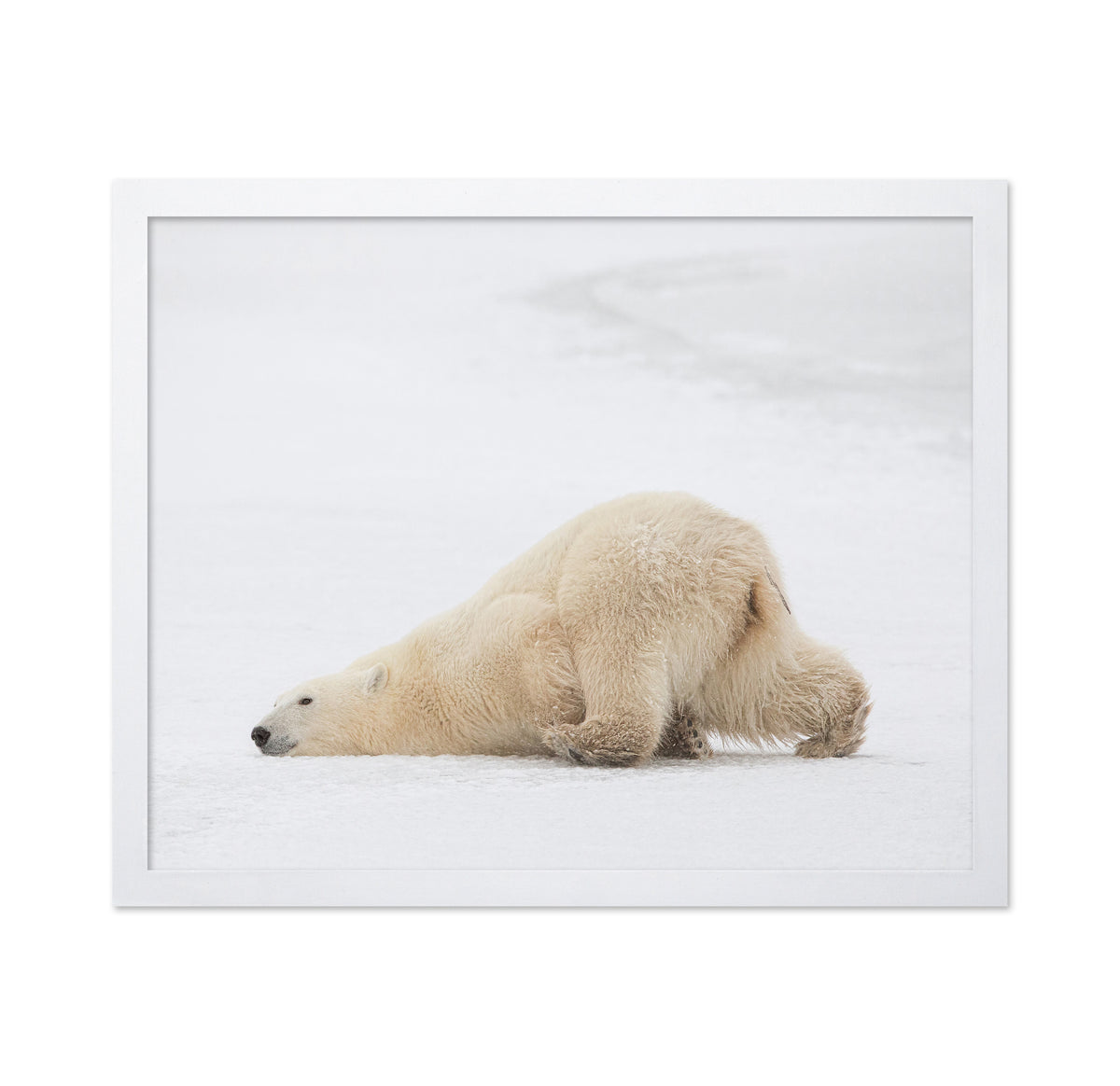 Sliding Bear