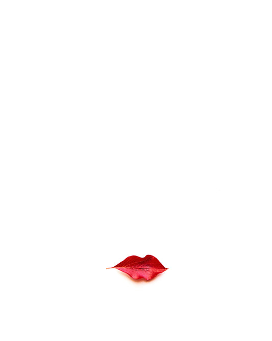 Autumn Kiss