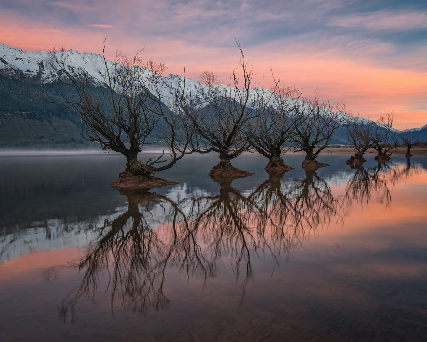 One Calm Pink Sunrise