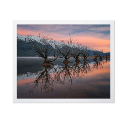 One Calm Pink Sunrise