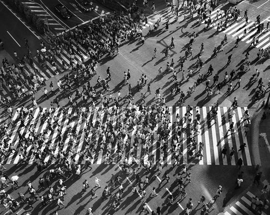 Shibuya Crossing No 1