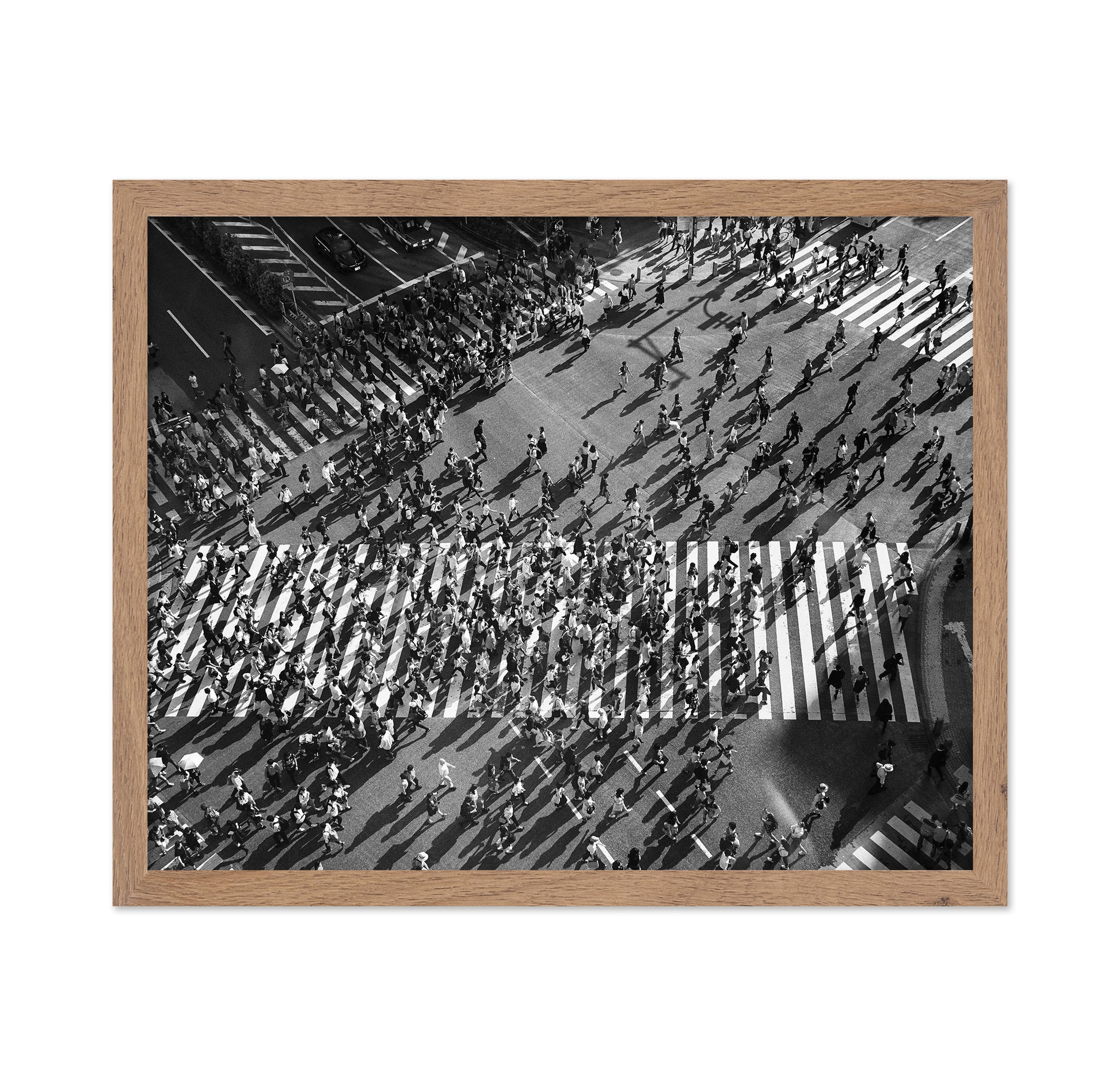 Shibuya Crossing No 1
