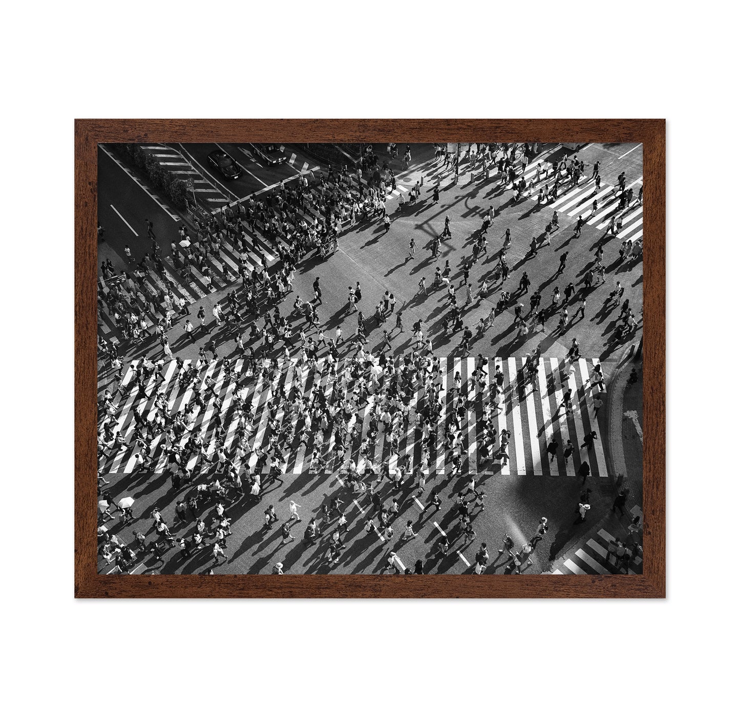 Shibuya Crossing No 1
