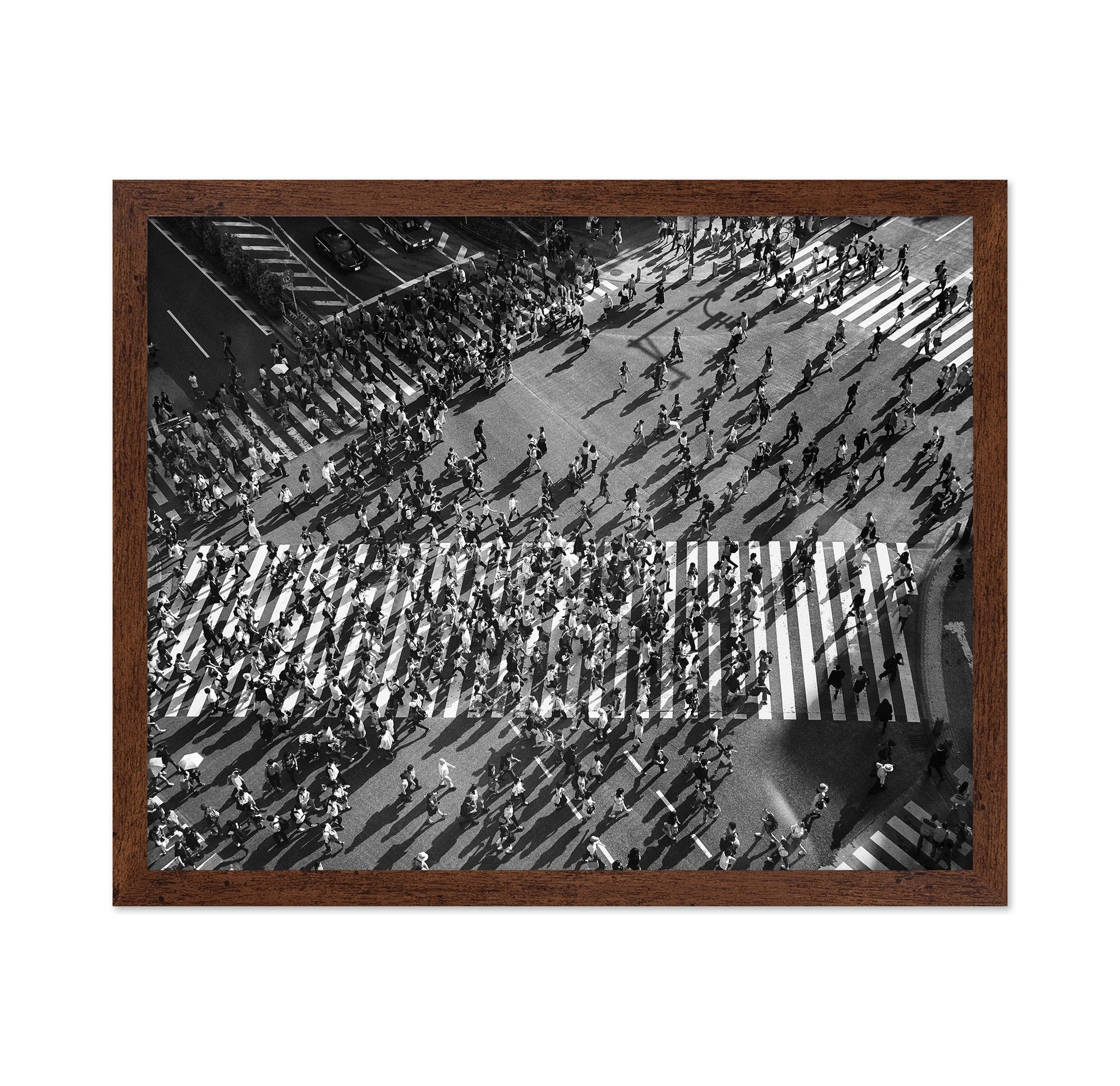 Shibuya Crossing No 1