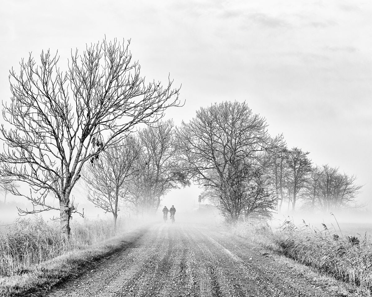 November Fog