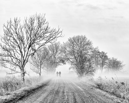 November Fog