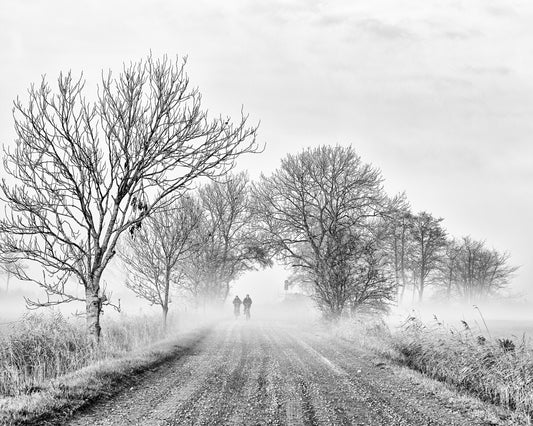 November Fog