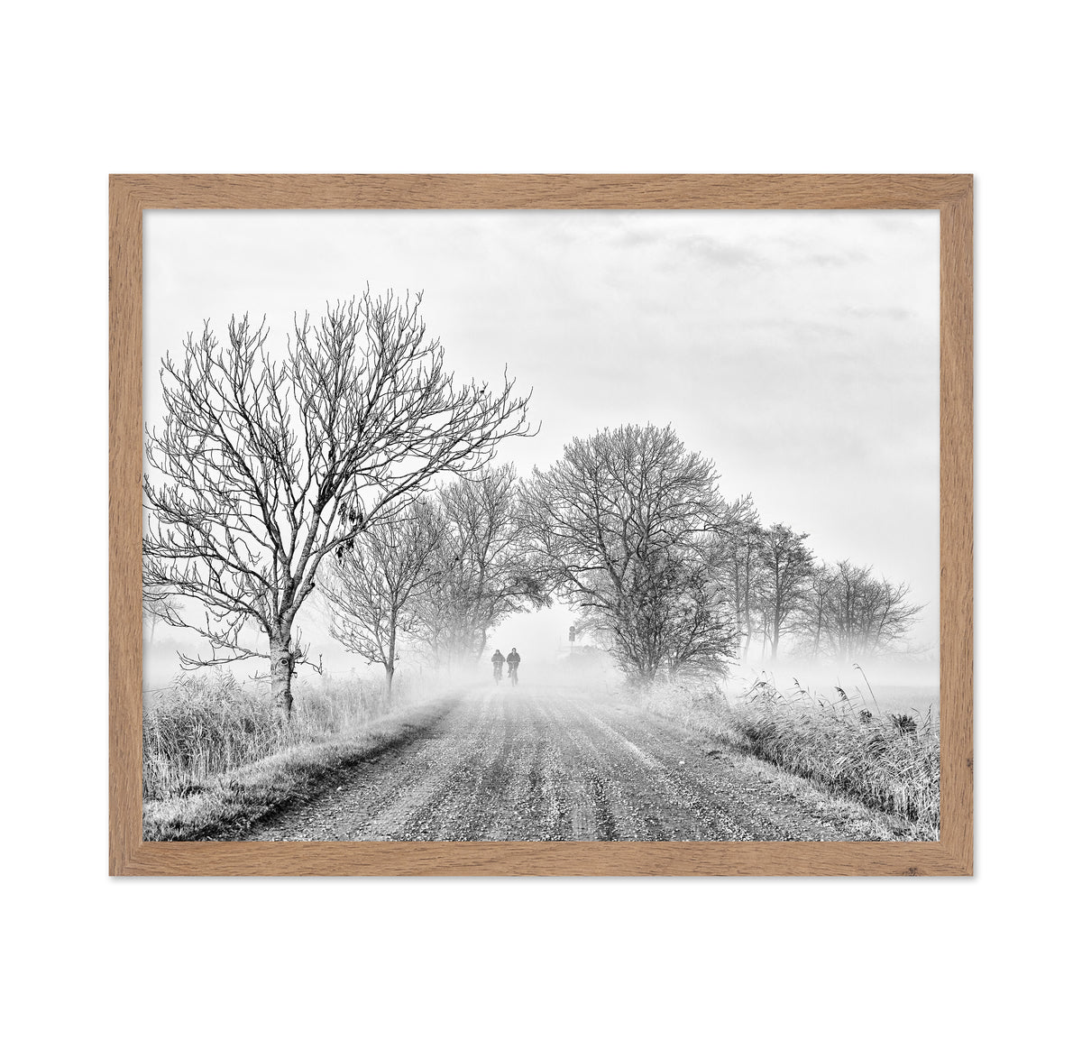 November Fog