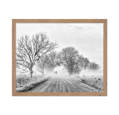 November Fog