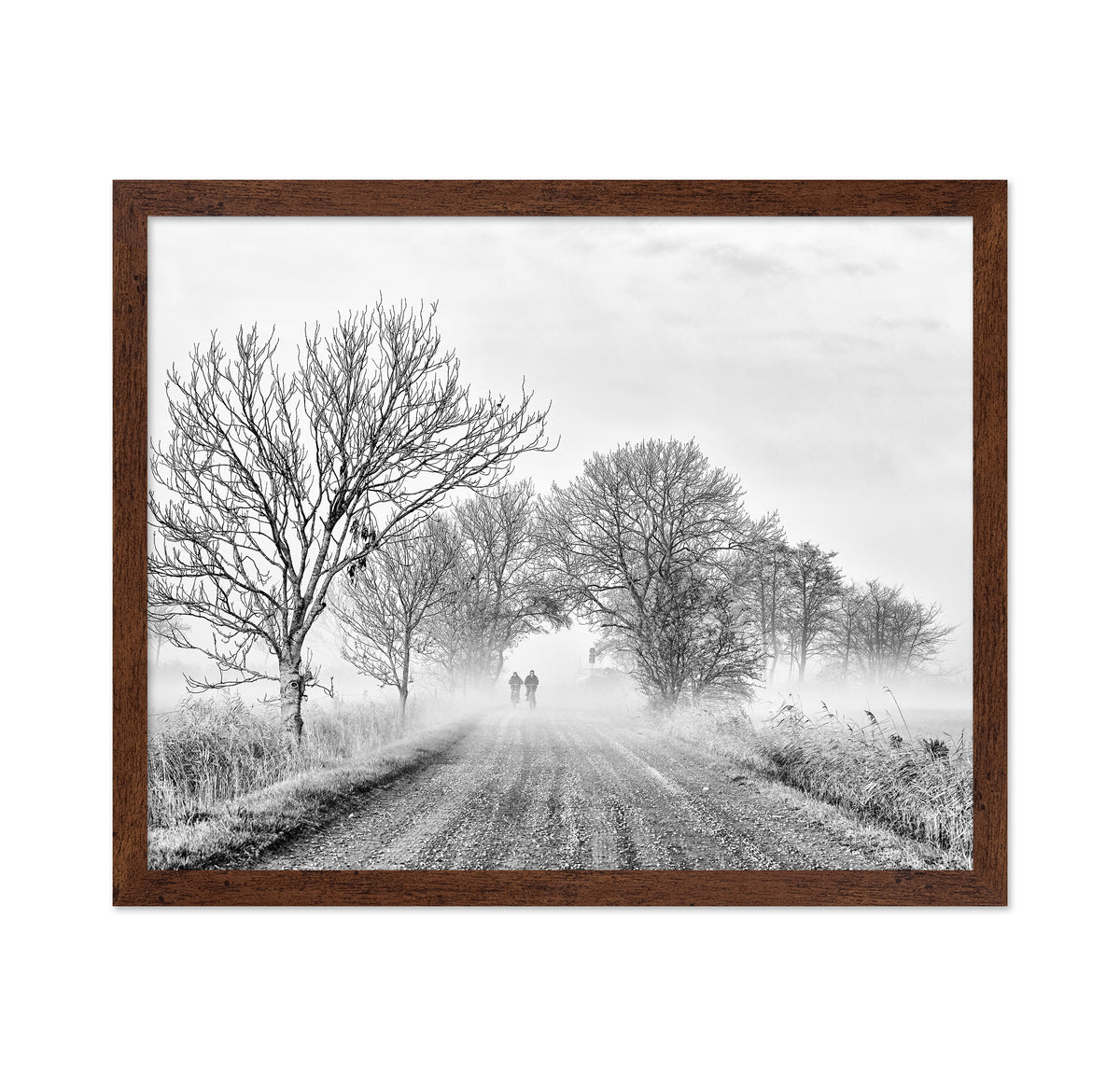 November Fog