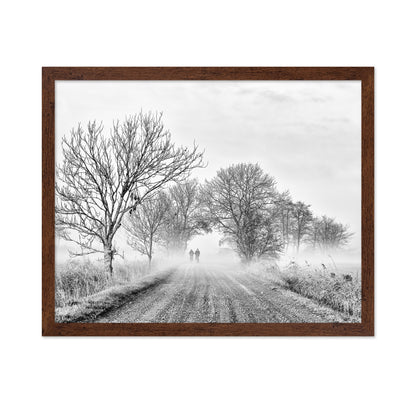 November Fog